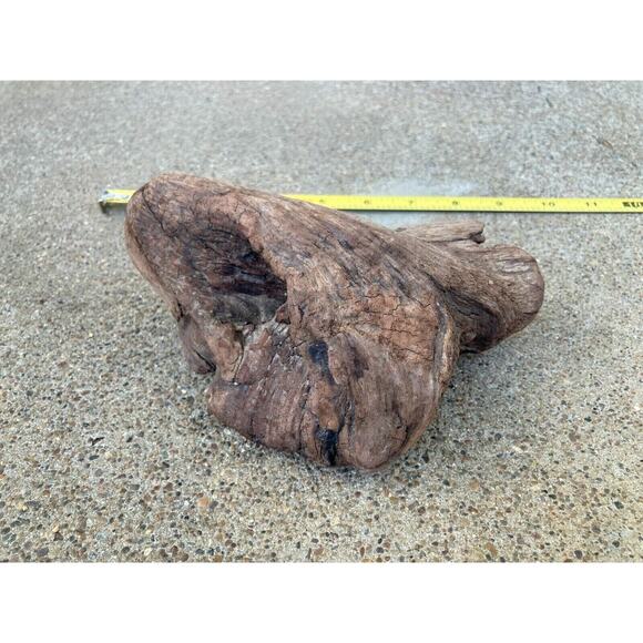 Ohio River Driftwood 6.5"x5"x3" - Picture 2 of 3